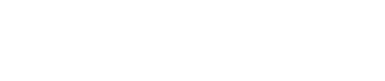Logo for 95 Visual